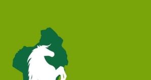 Une communication approximative qui prête à sourire* *Le cheval cabré ne galope pas dans le délire, il marche dans le droit